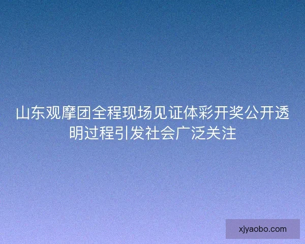 山东观摩团全程现场见证体彩开奖公开透明过程引发社会广泛关注